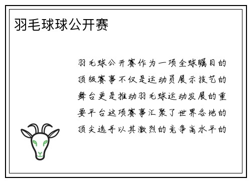 羽毛球球公开赛